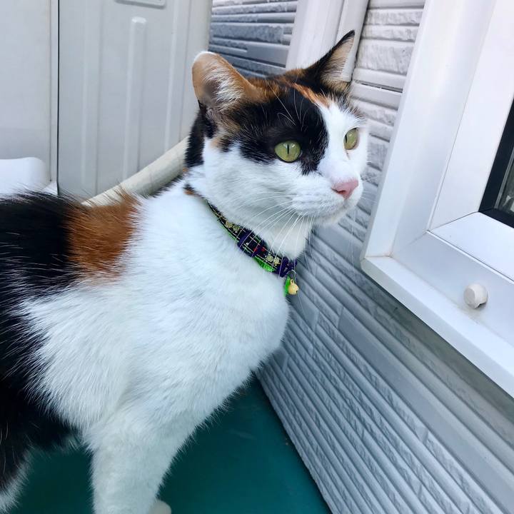 Fa81d765 8980 4d85 8341 18ee4aa23324 1516064929422