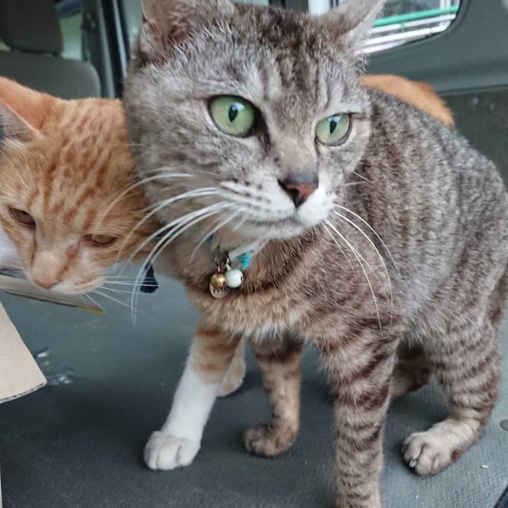 Fa820189 da8c 42cd bf36 102d95a6b09b 1562146223542