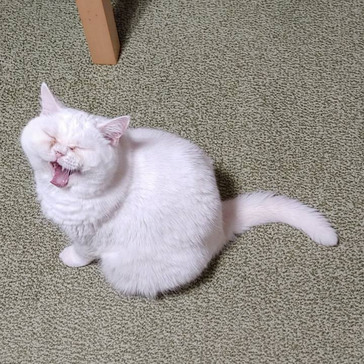 Fa8202ee 5494 4acf 9e12 1565e7236bfb 1699095776727