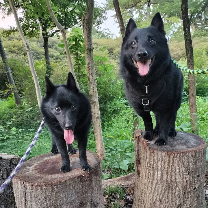 Fa82056b e1ba 4883 bb53 37368fc87dc5 1757281216232