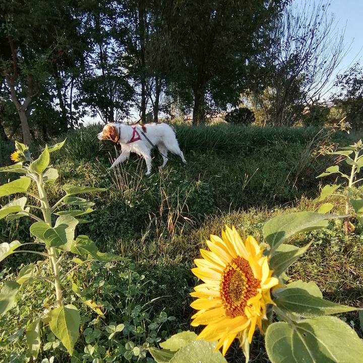 Fa823491 d499 4a45 8e6f f2a7e19d1fd4 1573099533690