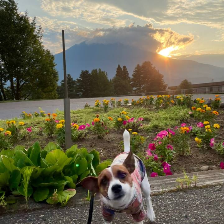 Fa828289 9db0 4e3a be32 cd120722eeac 1626780331847