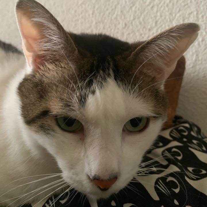 Fa82da0c d860 4dd0 a4f0 4385f9f9ae72 1620433946368