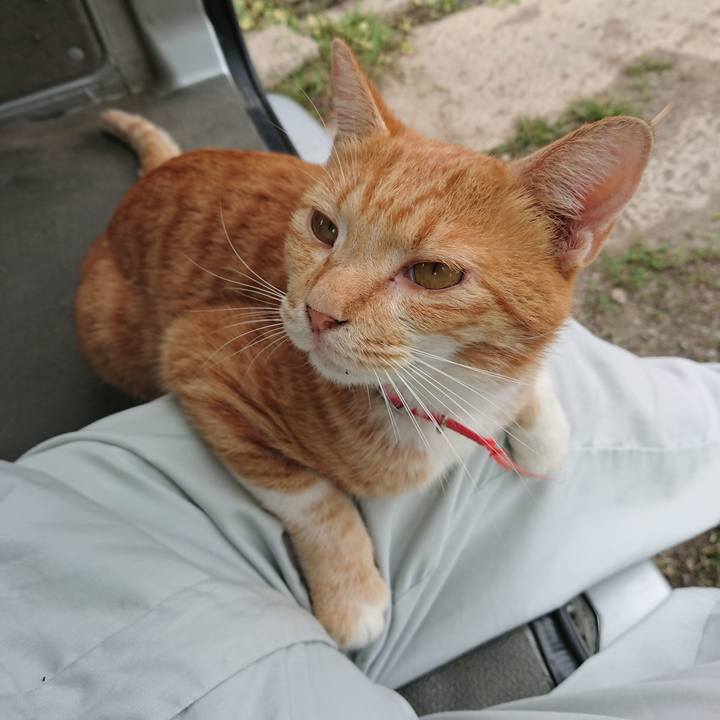 Fa82e813 7ddc 463f b631 be1fd1fb277e 1568790873511