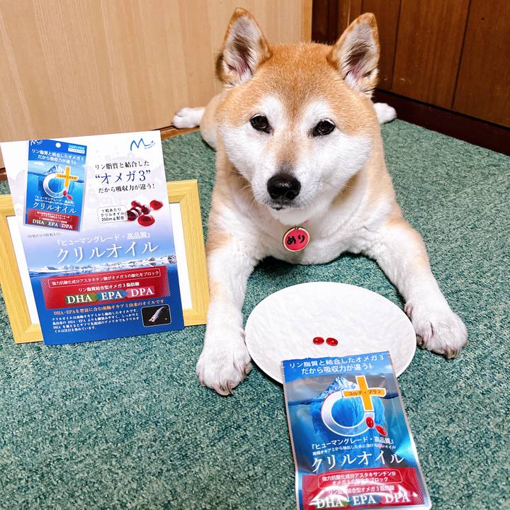 Fa82f2e9 c544 406e 9bfc 9be0ed81995b 1715771605793