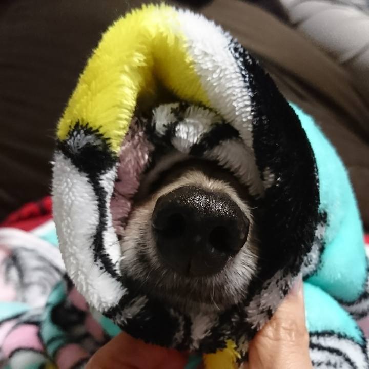 Fa82fef2 8188 45cd adad 2c50f46bdd60 1509018138703