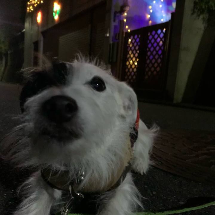 Fa832bcd be6b 4662 8d74 e23f87f7925c 1607774890101