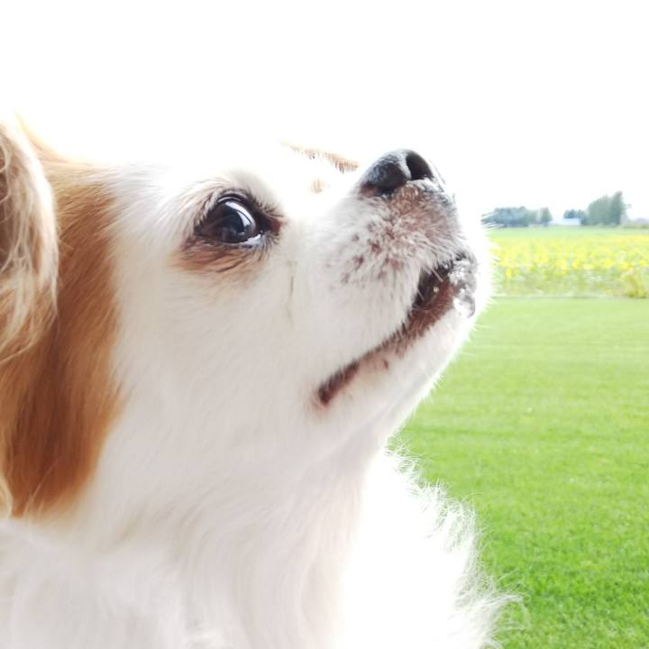 Fa834c34 7390 420d 906f 7f036862ad64 1538799876605