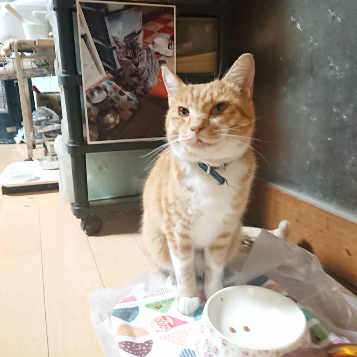 Fa837a45 0790 43d3 8ba1 fe9394e6f4df 1603136911432