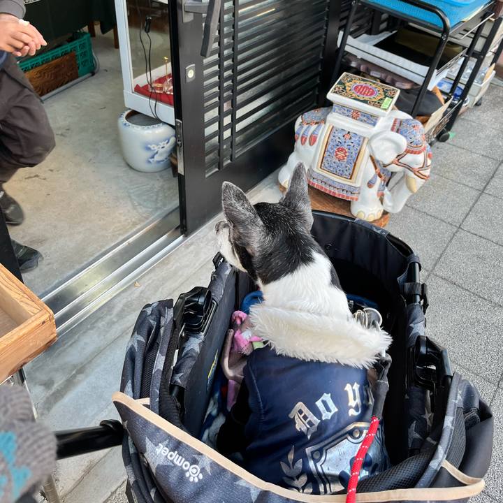 Fa837c4a d921 4354 a523 6fad67d82841 1642846140418