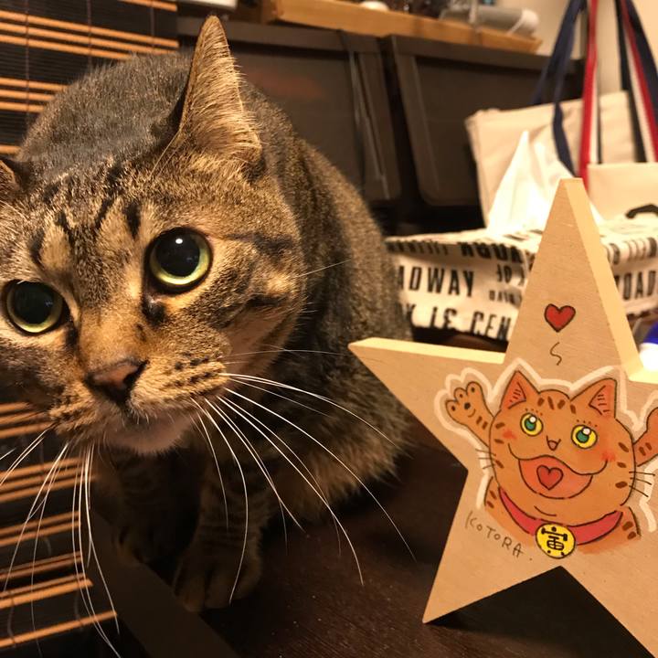 Fa8380d8 003c 493a aa2e 08e2c0833259 1553606945439