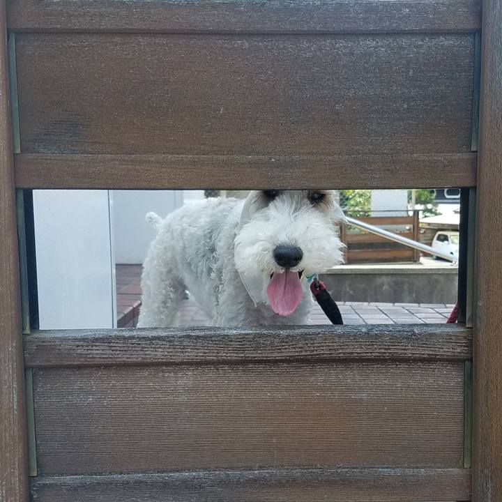 Fa839083 13c2 4f89 abf6 5ca6dee96171 1561177489005