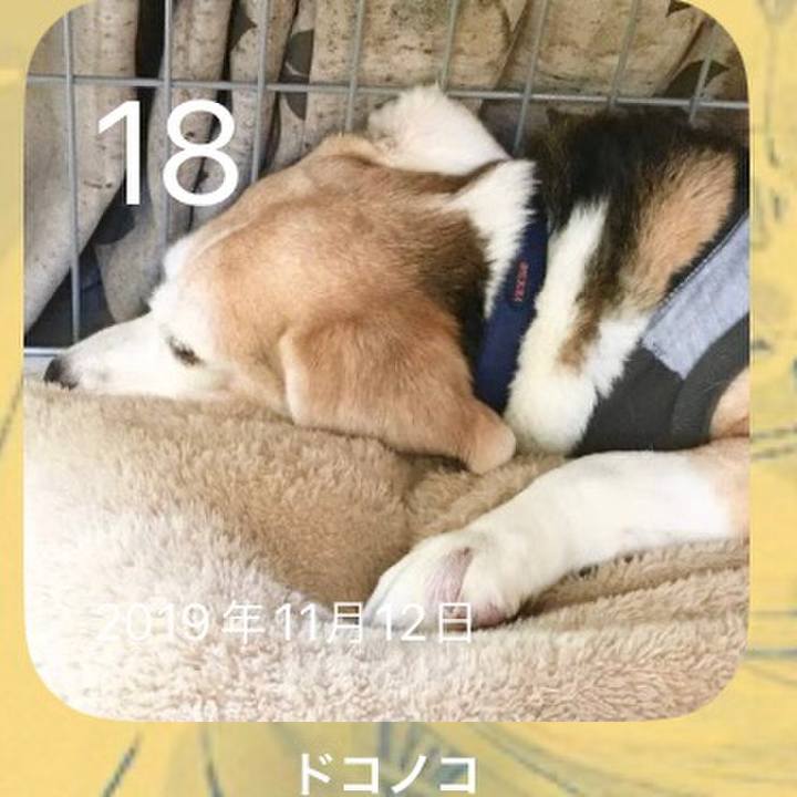 Fa83a370 30e8 41d1 9d07 195b8190e4d7 1700268730760