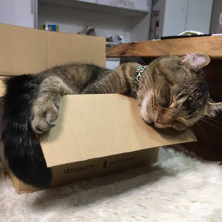 Fa83c12f 2467 4171 a537 a0af7b9a641c 1591241378368