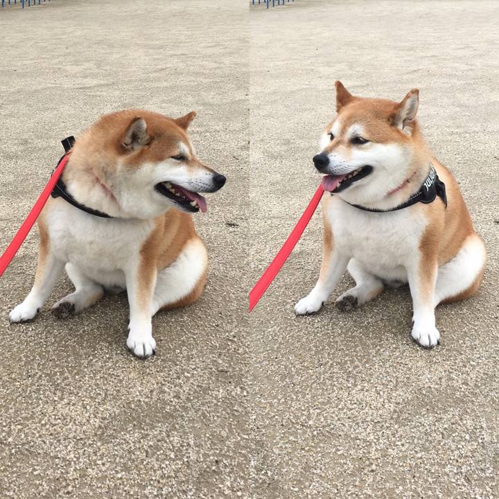 Fa83d152 e207 433b 80ed 8d5492b90bee 1594261535029