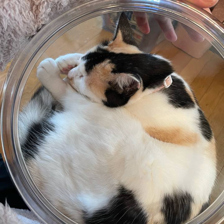 Fa83d7d7 da50 45fd b685 d373094b9329 1746924084730