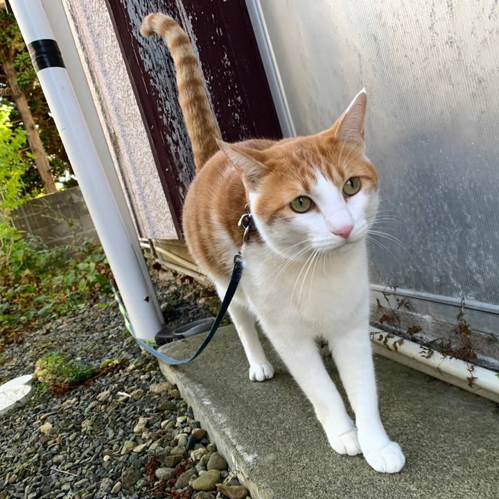 Fa83f984 3f68 425a a0d4 f96d4b4f4ae7 1573009454665