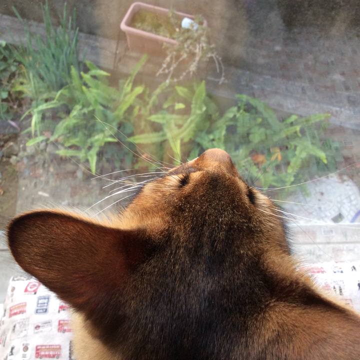 Fa840b42 c2eb 4320 8649 00650907cc5d 1575764703169