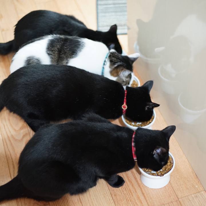 Fa840dca 35c7 4636 8c66 682ce64ea698 1525871053873