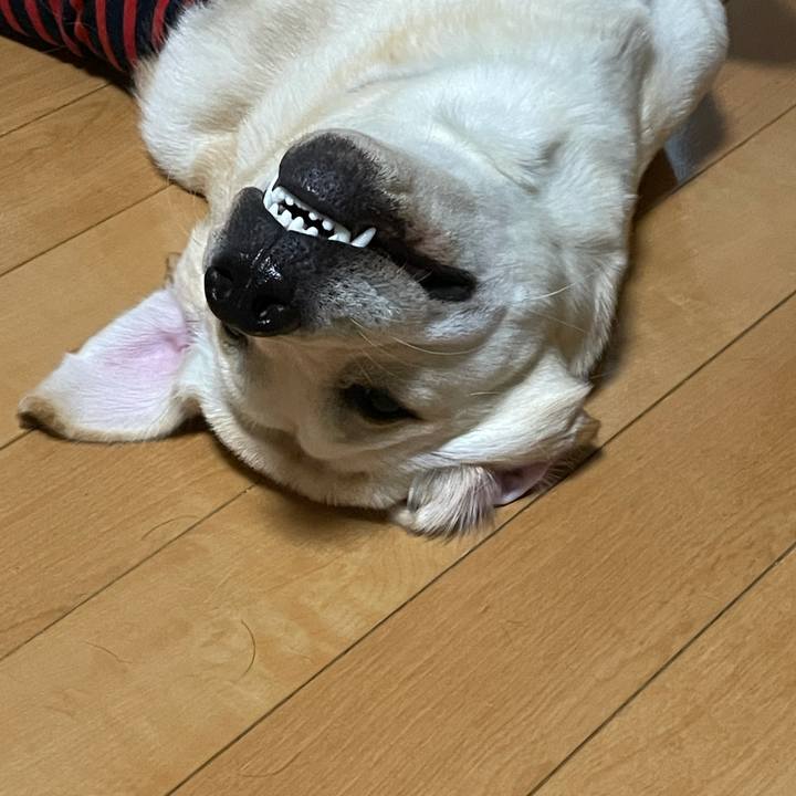 Fa845238 9fc0 455c bec5 b403caa60438 1631680886214