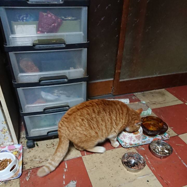 Fa847b74 1c77 4b18 be70 aa4077d38ac6 1578169014624