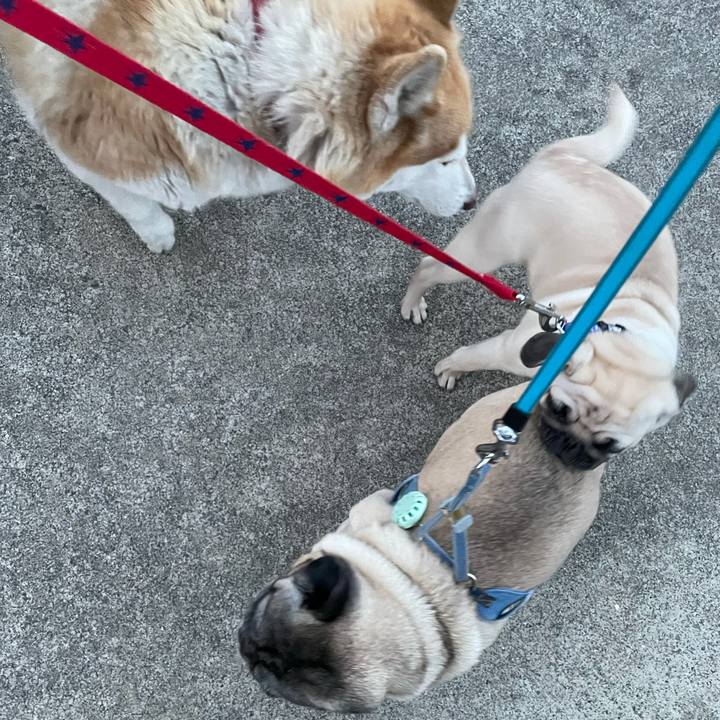 Fa84cb41 ac31 46b0 bb38 deef44eeab48 1618826501509