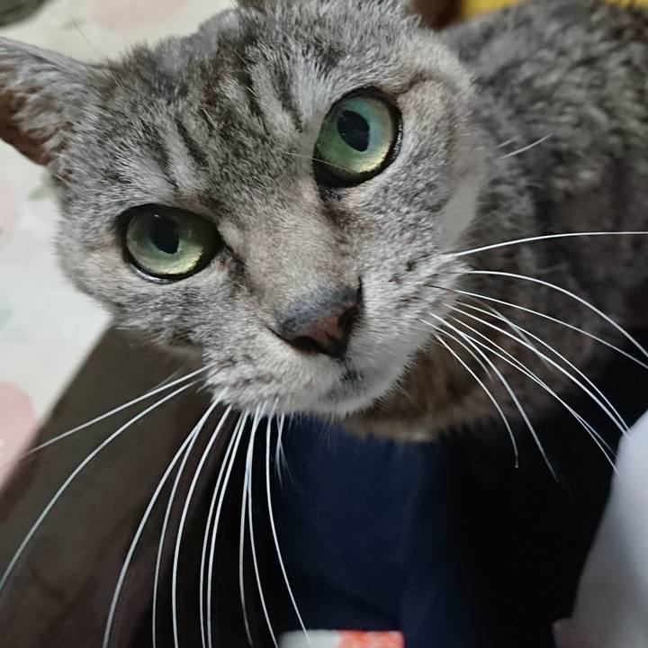 Fa851a6d 2a50 469d 8b62 8bbfa7c9107e 1572514495680