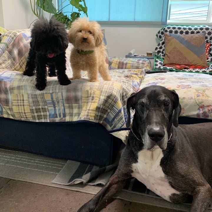 Fa854211 475c 43c5 b014 877088432061 1560895910265