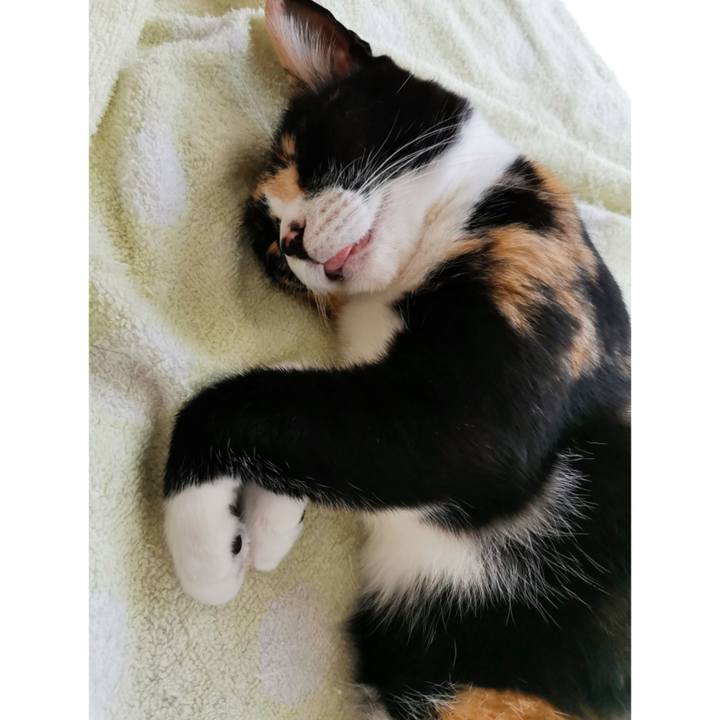 Fa8569e7 b866 4f88 9213 58495fba208d 1661311605528