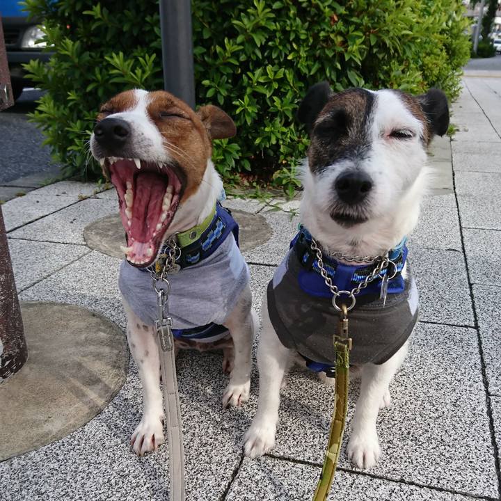 Fa85769a 5caf 4b29 9d12 a9b5b49ccc4c 1560722072514