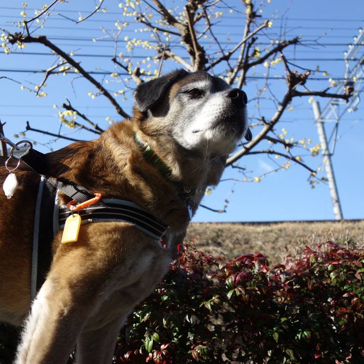 Fa859992 a048 4b18 8972 406972e6cf2a 1550969277641