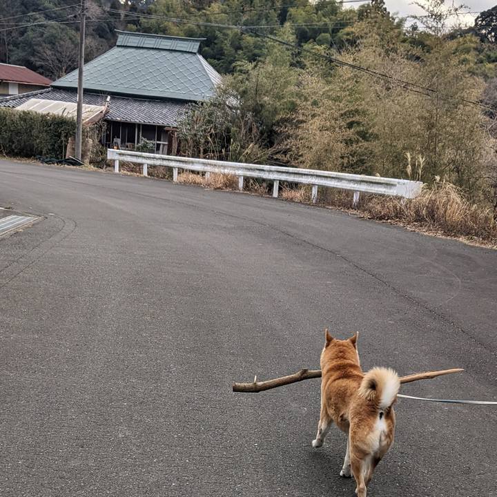 Fa85b819 b9b2 4699 8b0f d589ab87cd62 1675605036841