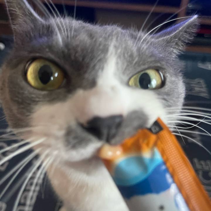 Fa85d163 f6cf 460e 881b 3fc24fcc977e 1695542374656