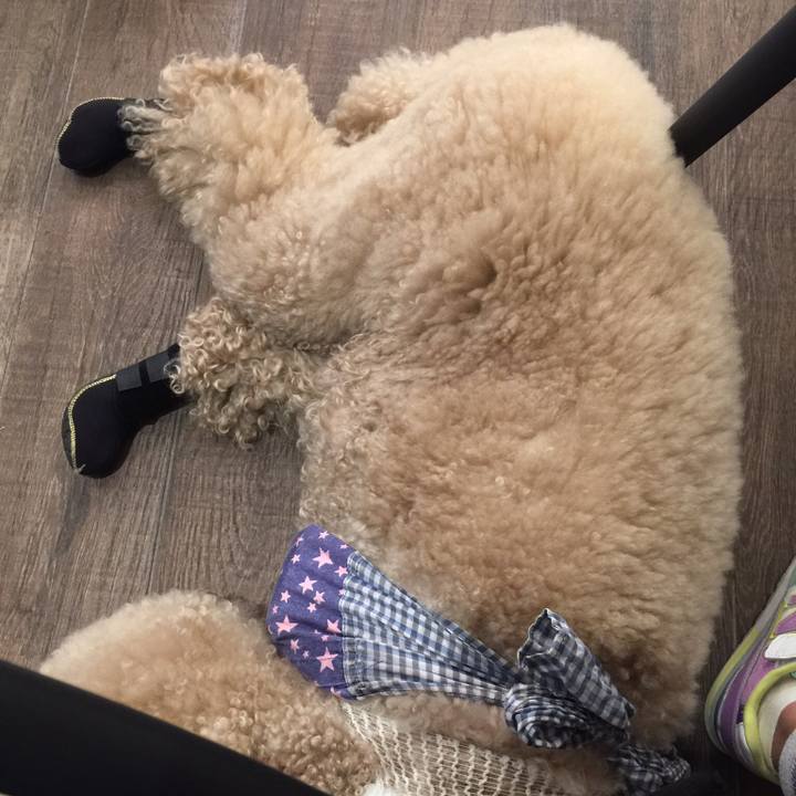 Fa86482b 7cc6 4a5e b22d a17de9c0148c 1528293023229