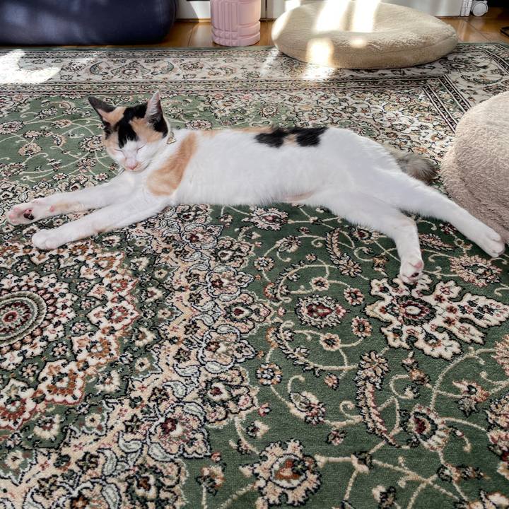 Fa868aa4 fdb0 4983 8fd0 673af7b19cd0 1673398056758