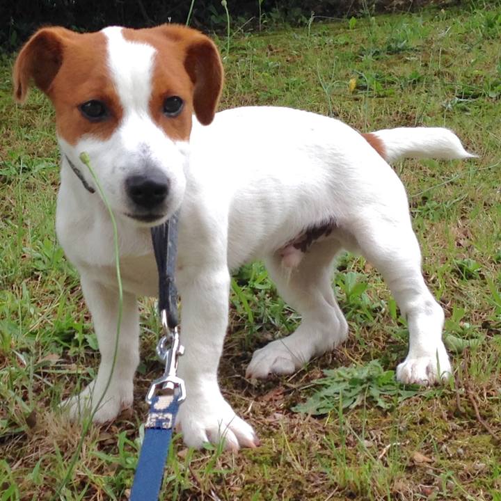 Fa868de3 c904 4226 87e9 868c1731b950 1764462745034