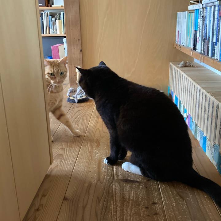 Fa868f6f b47c 4c18 88ec 22da47f68278 1617750685198