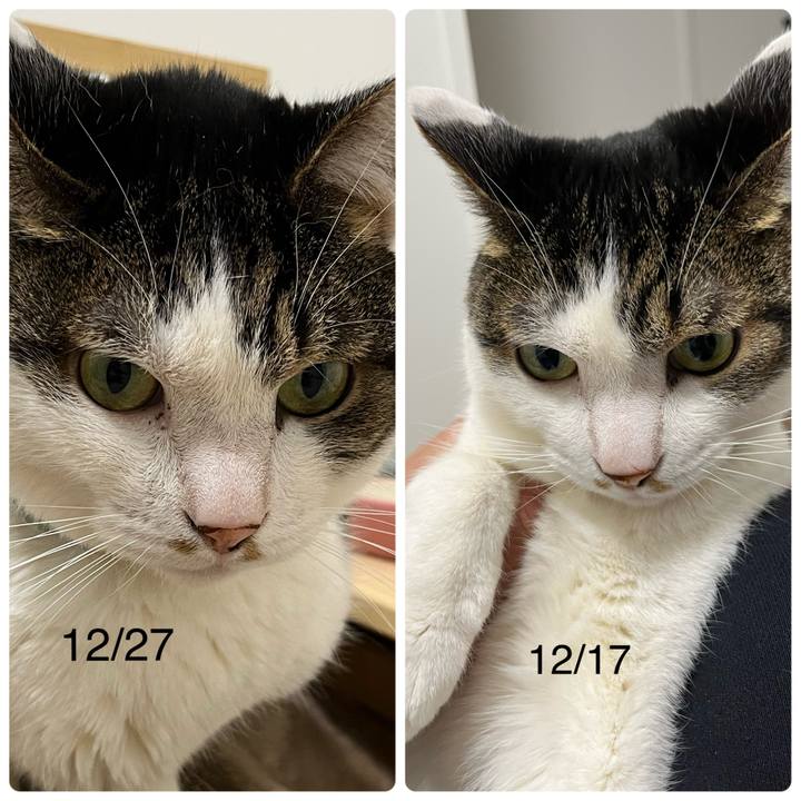 Fa868fc5 b976 481b 9230 f3e76ba28111 1766838669882