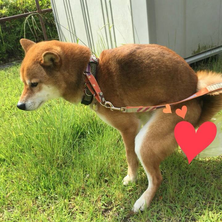 Fa86d53b 5b77 4c02 bed5 bdeea73d82d6 1527212917609