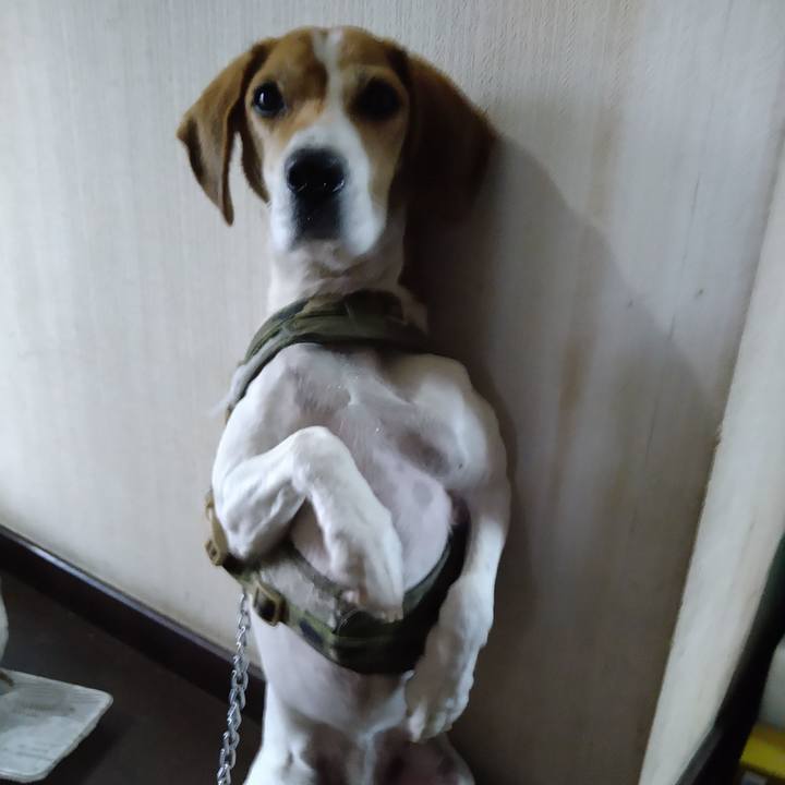 Fa86e77f 3cbe 4022 b23d 644449c40051 1671194450907