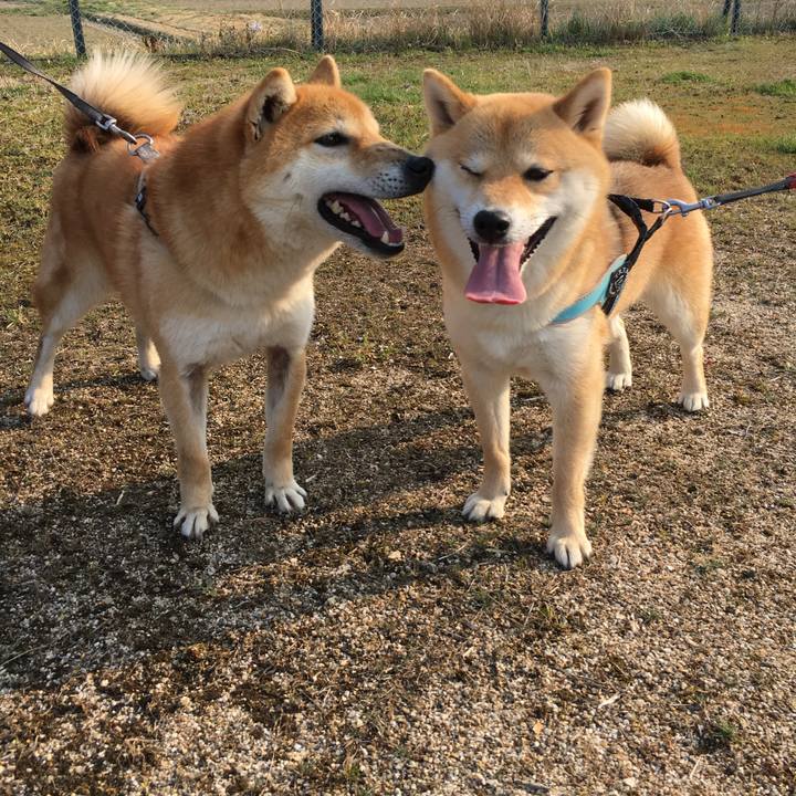 Fa870062 150e 4730 9279 ecc98b13d4df 1541473648762