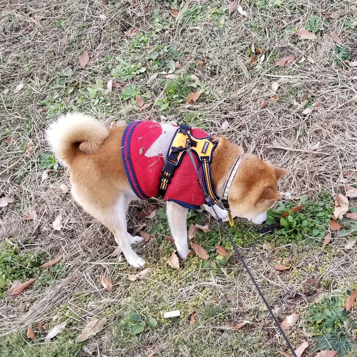 Fa872247 bd39 4542 81ff f099d4c2dad2 1607744311303