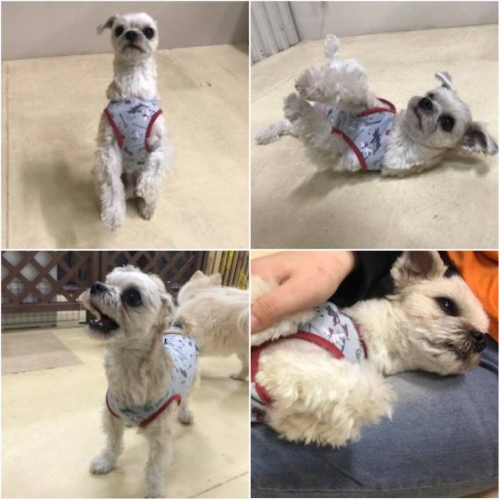 Fa872e4e a998 4b9c 93b5 8a6e3f310866 1547809648474