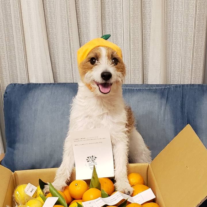 Fa873b28 39a7 4f82 8da0 d1899fc82655 1614260526990