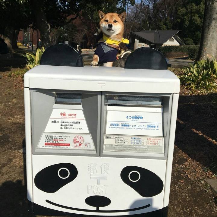 Fa874075 4c66 4c28 b2f1 809970afa7aa 1516512144774