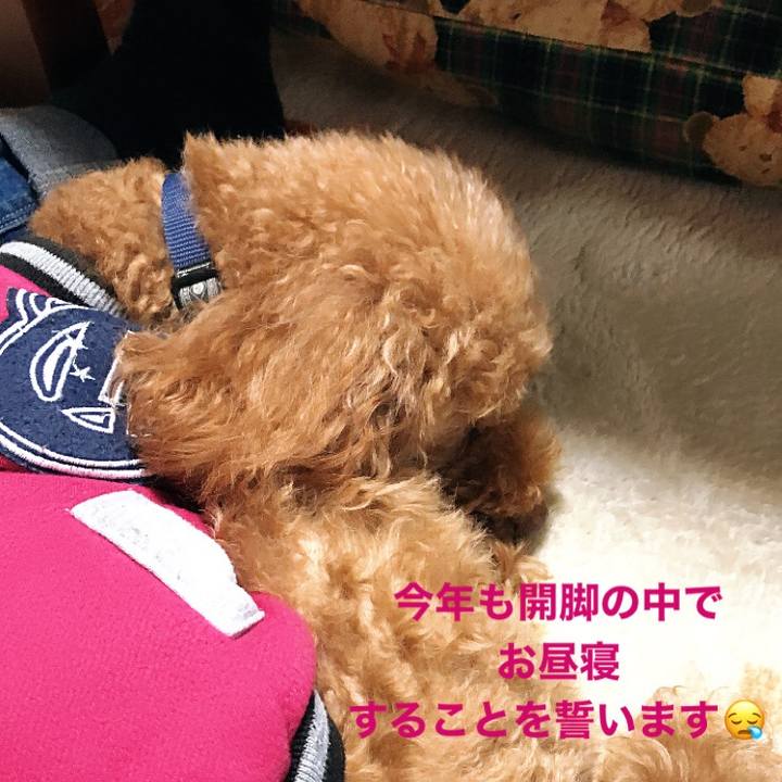 Fa8779be 9b5b 468a 9aeb 7f521494db96 1578641364707