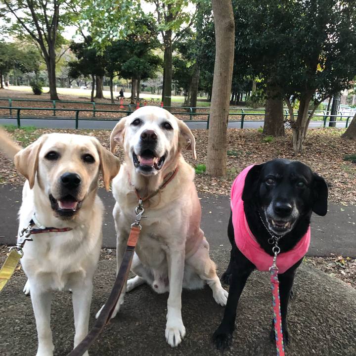 Fa879057 2a76 4e04 b9ff 00f24a147d7e 1573631576285