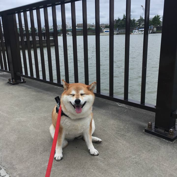 Fa87a09c 140a 43c8 8376 0b87bbd1a68c 1595999107610