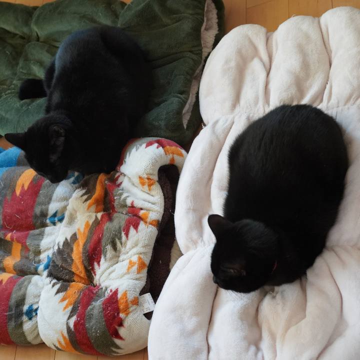 Fa87b76f 685b 4439 87ec 6f9676c8c21a 1576828831743