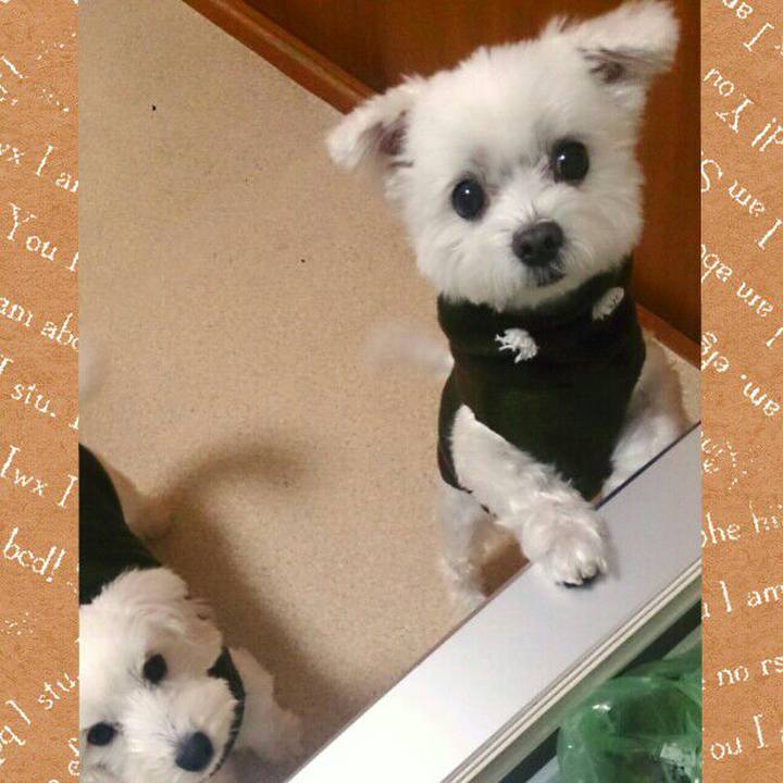 Fa87df06 2331 4e9f b789 6dab37c36e2a 1507852708752